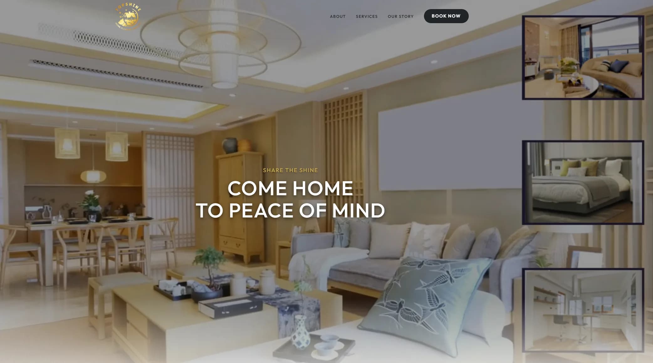 TopShine Home Cleaning - Case